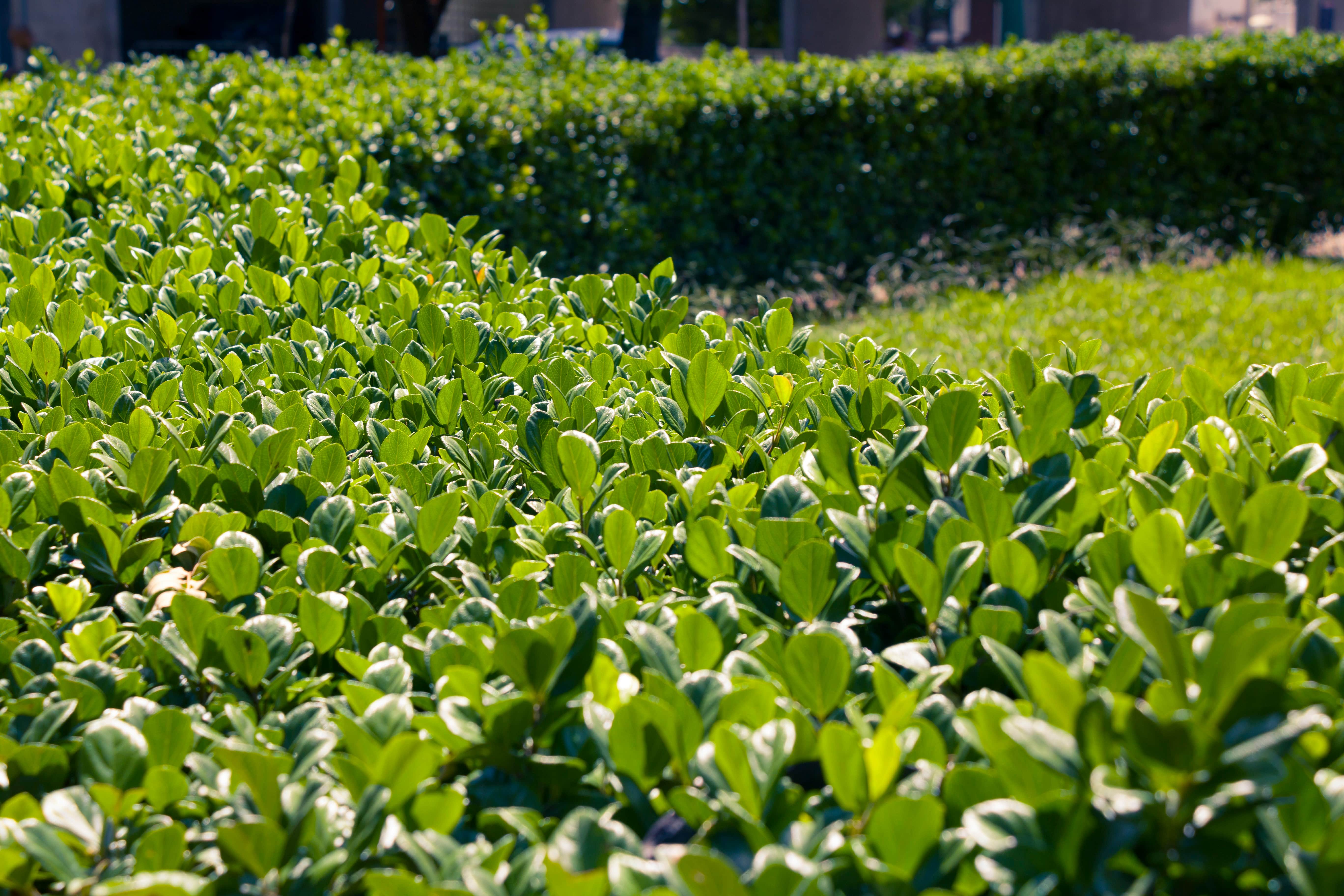 [Slideshow Image 2 Alt]