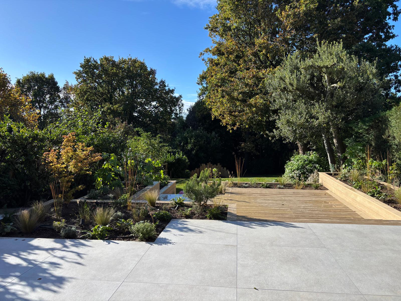 Hedge cutting and shrub maintenance