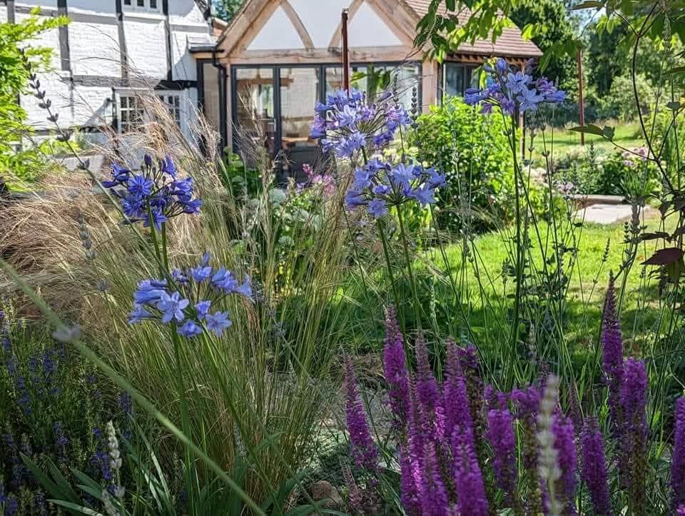 Professional garden transformation