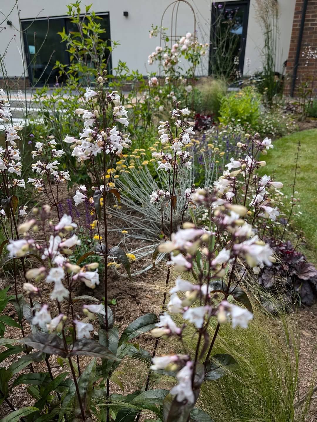 Custom Planting Schemes