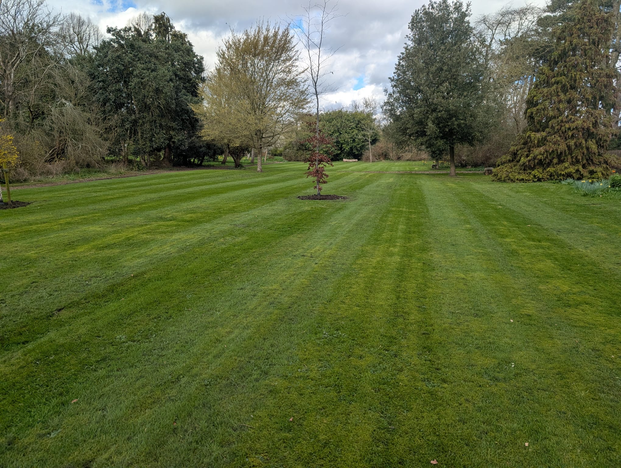 Full Lawn Renovations