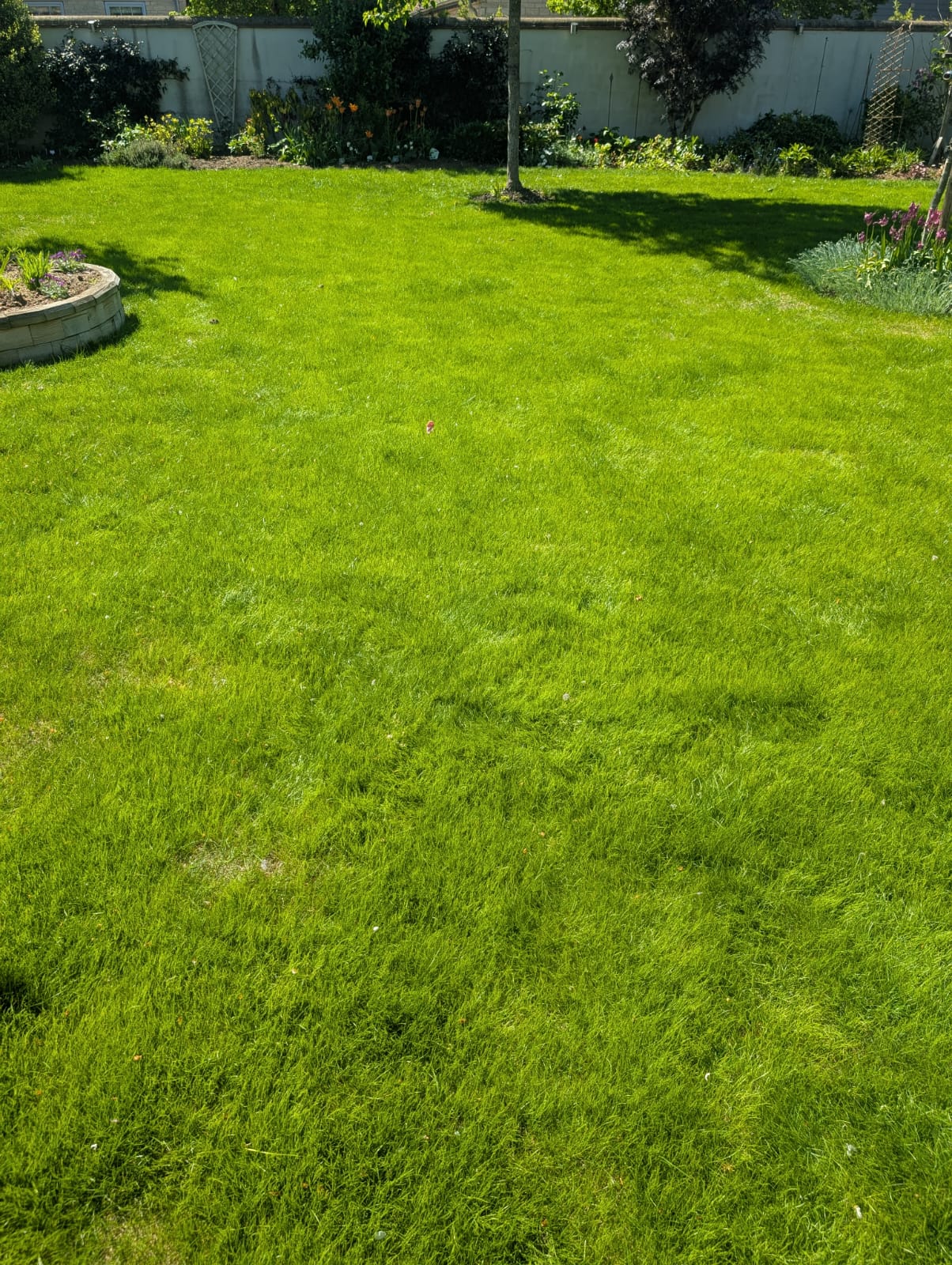 Full Lawn Renovations