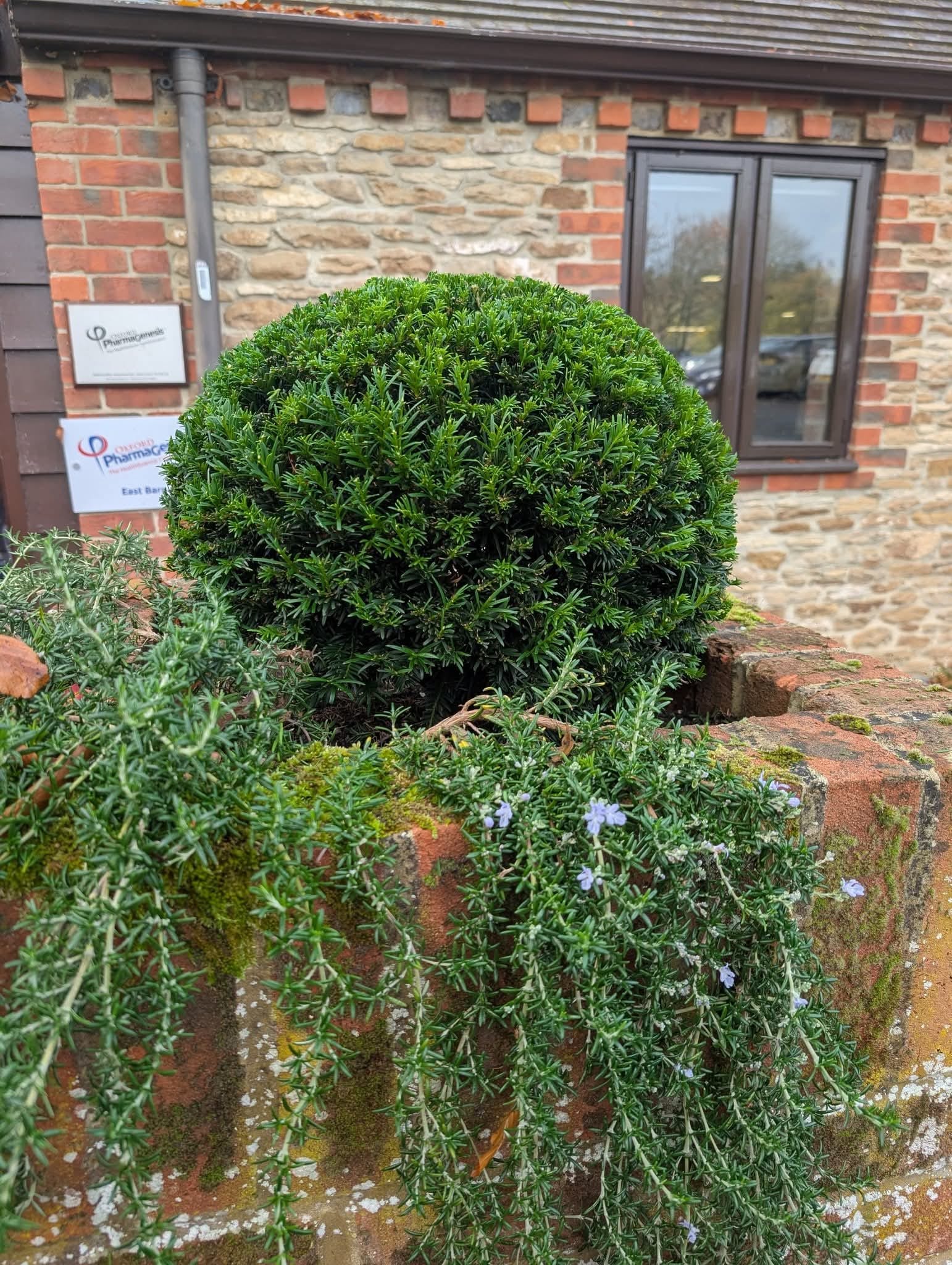 Invasive Species