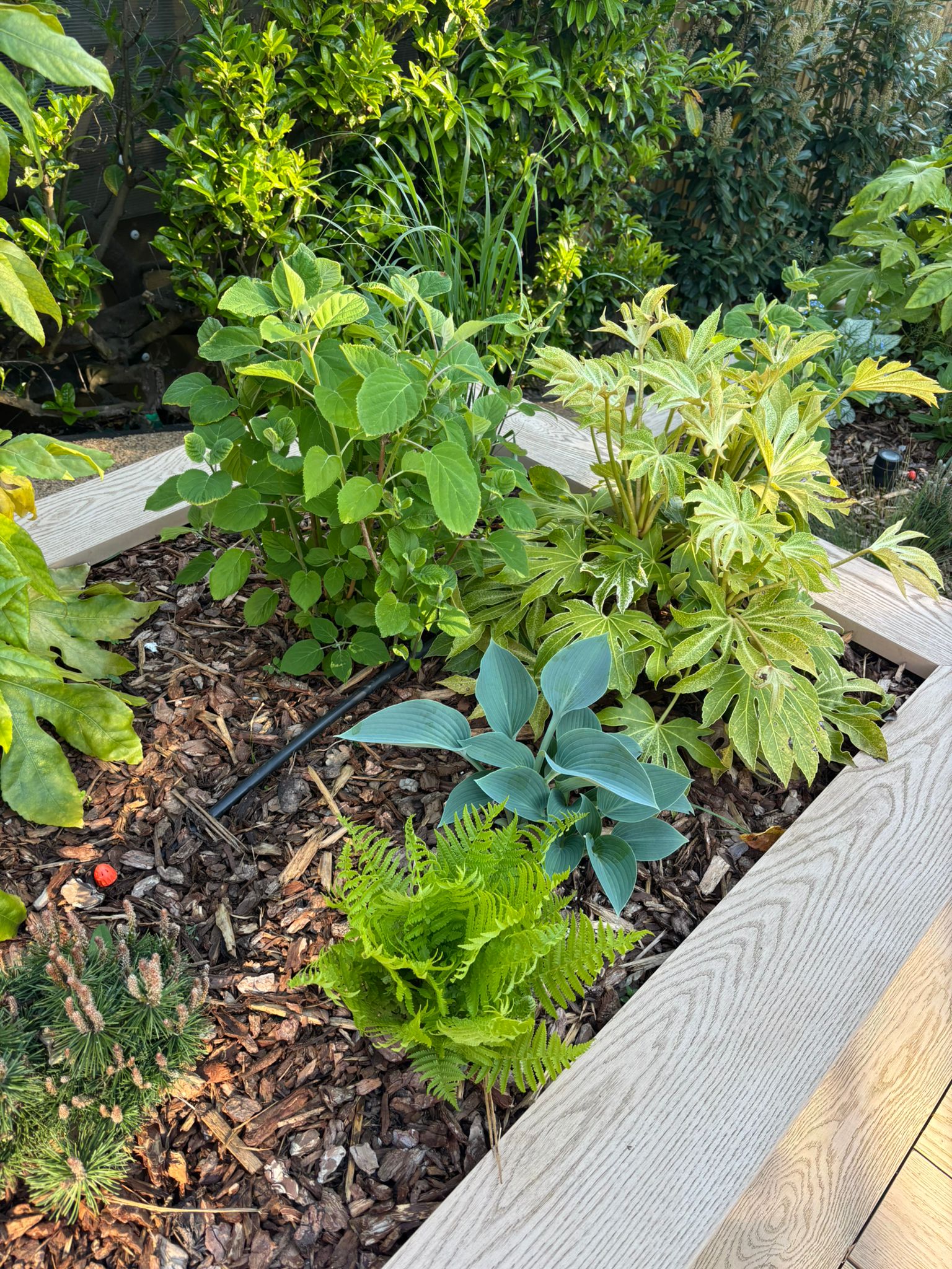 Plant Supply & Sourcing