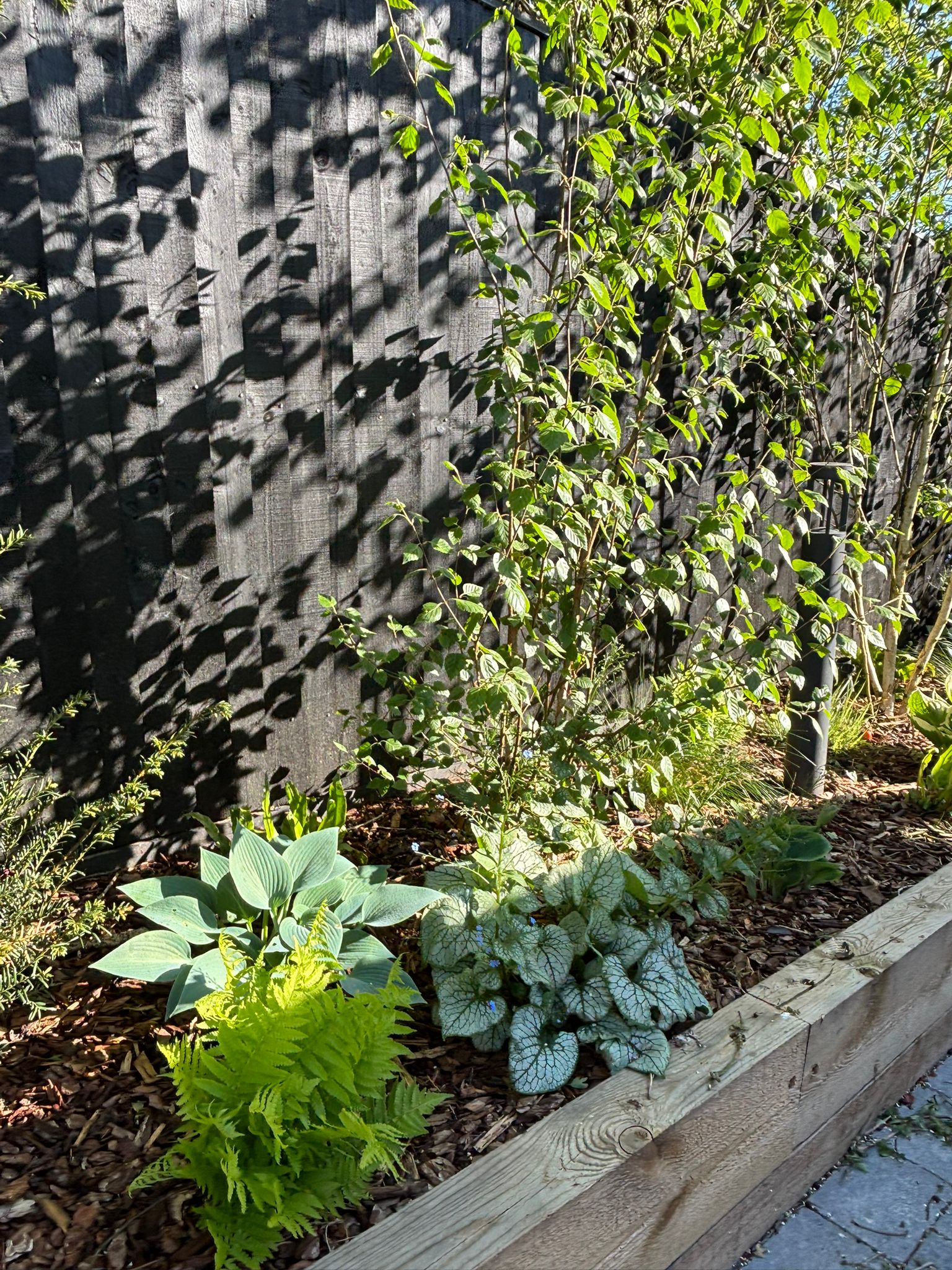 Plant Supply & Sourcing