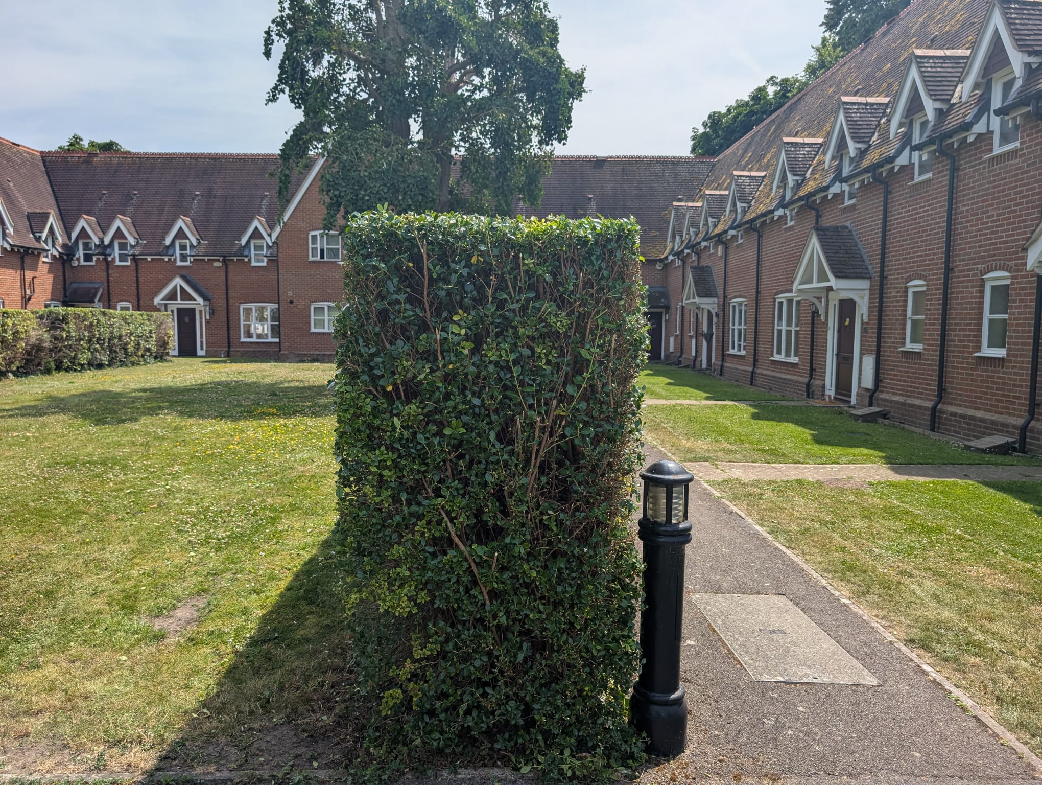 Regular Trimming